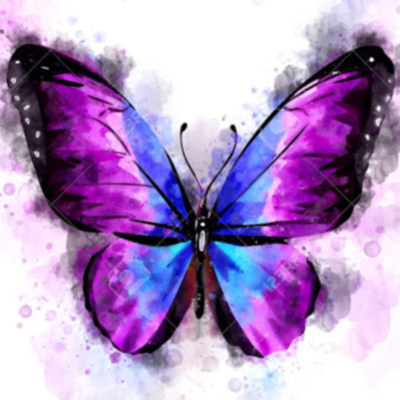 Meet your Posher, Rory - Picture 1 of 1